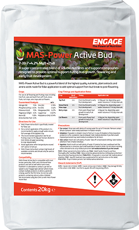 MAS-Power Active Bud