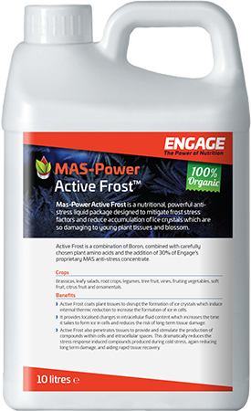 MAS-Power Active Frost