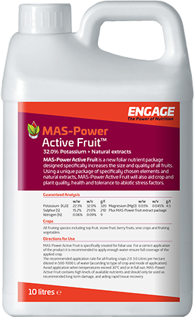 MAS-Power Active Fruit