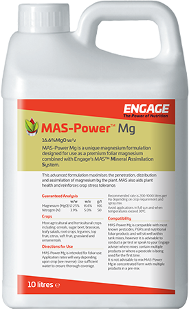 MAS-Power Mg
