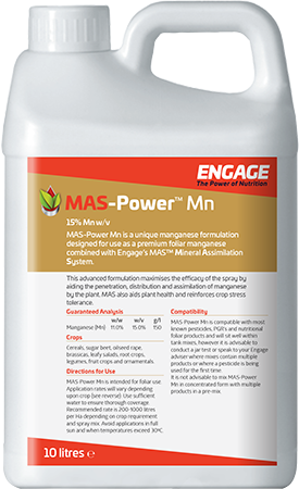 MAS-Power Mn
